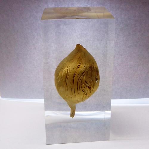 水晶膠工藝品擺件內(nèi)藏樹(shù)根藝術(shù)文化永久收藏根雕耐黃變工藝禮品